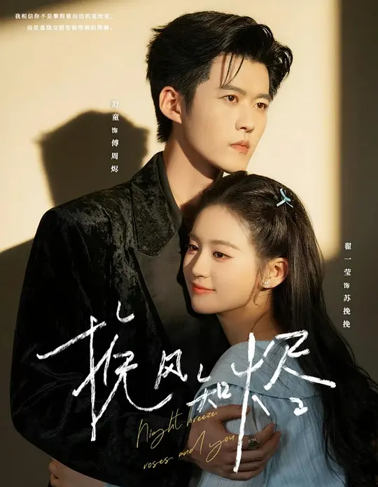 挽风知烬(全集)