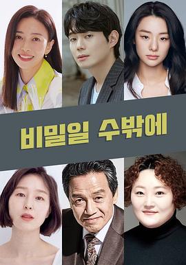 这必须是个秘密(全集)