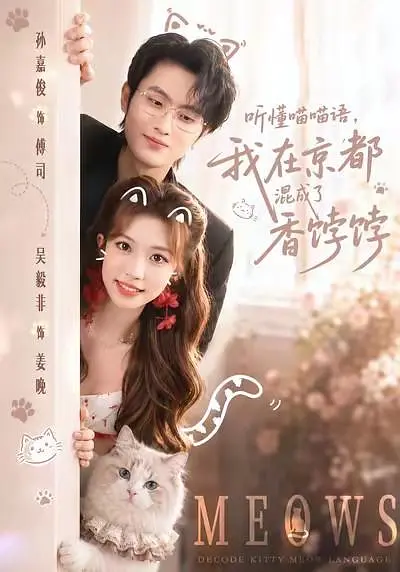 听懂喵喵语，我在京都混成了香饽饽