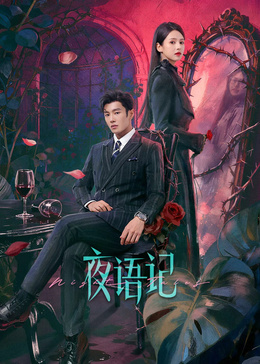 夜语记(全集)