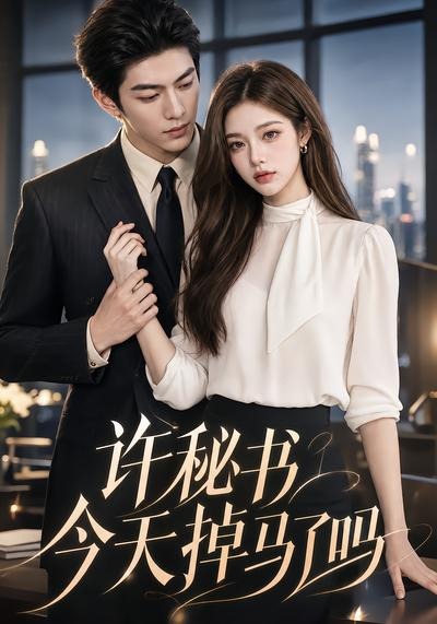 许秘书今天