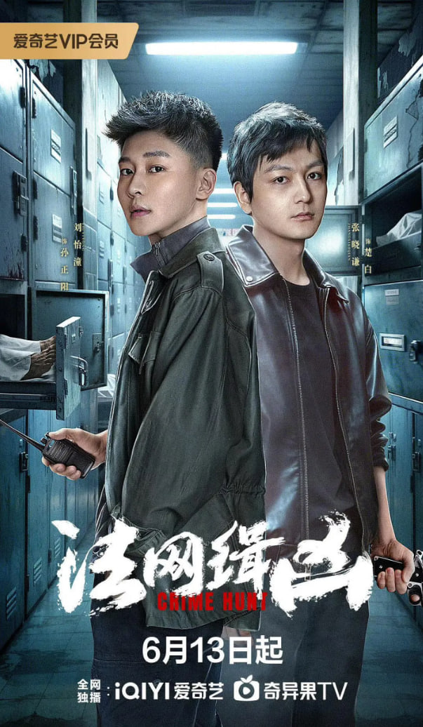 法网缉凶(全集)