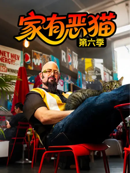 家有恶猫 第六季(全集)