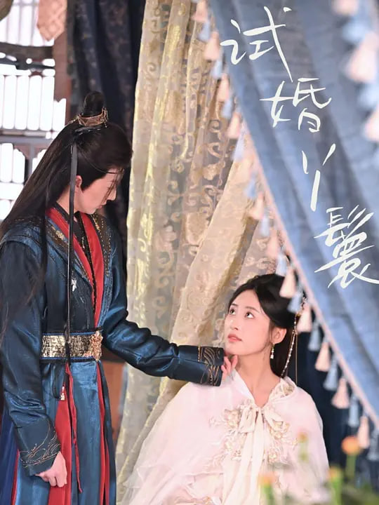 试婚丫鬟(全集)
